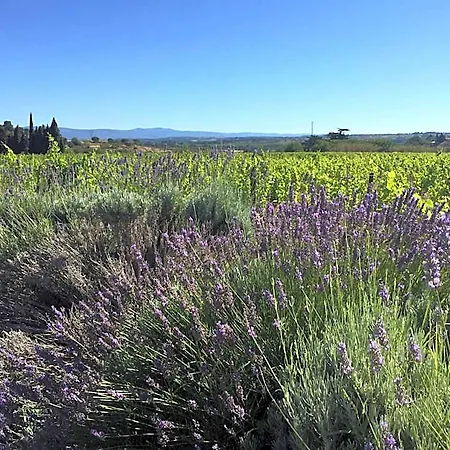 Audotel Hotel Carcassonne