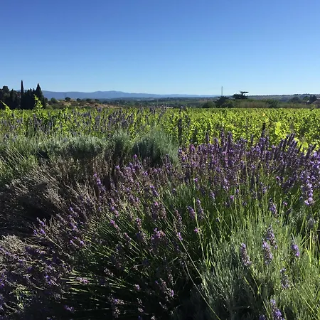 Audotel قرقشونه